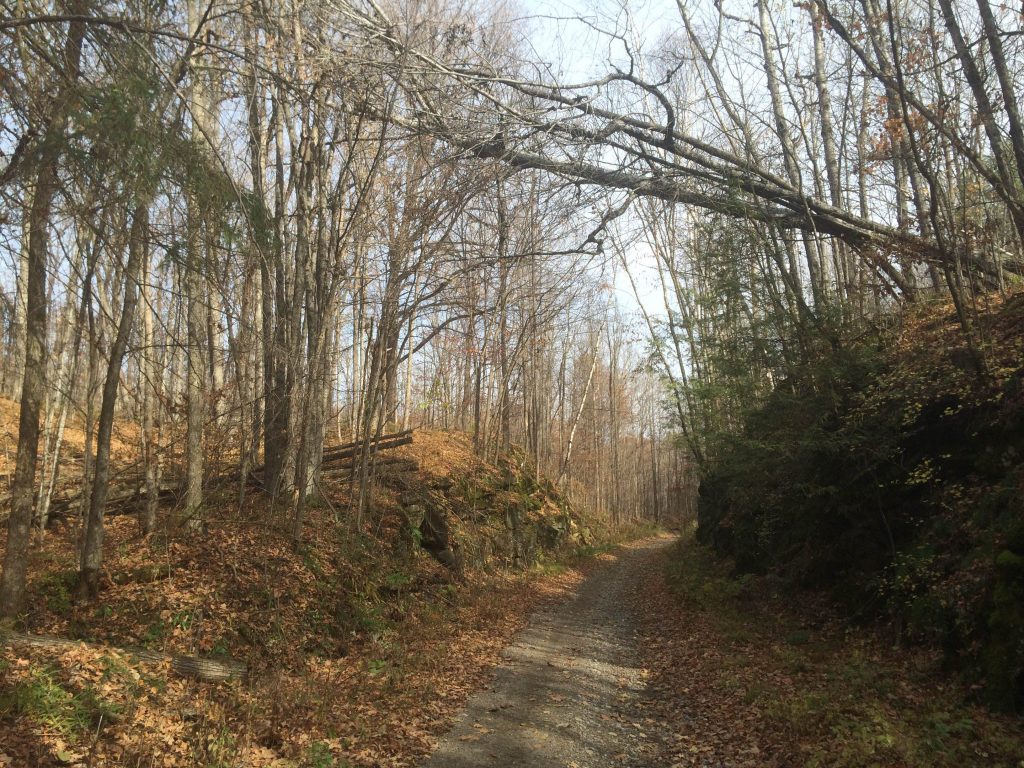 Vacant Land 16659 Hwy 509 Sharbot Lake, Ontario, Canada USACAN Sales